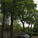 IMG_0287