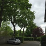 IMG_0288