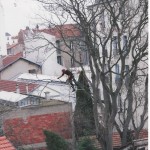 elagage-acrobatique-1